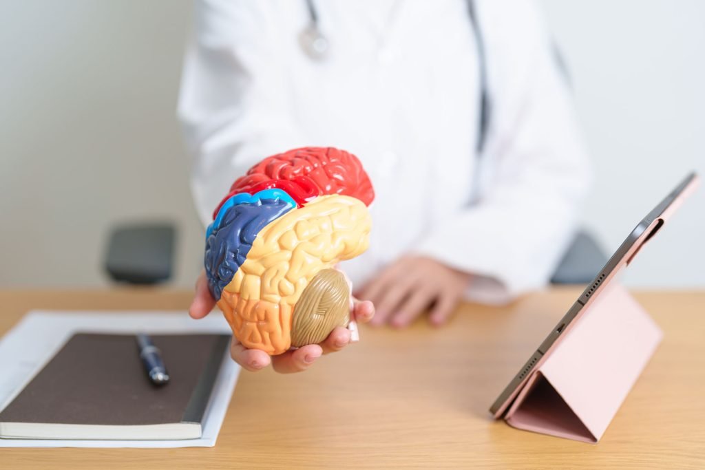 Neurologist with anatomy brain model.