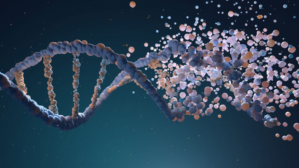 DNA strand assembling.