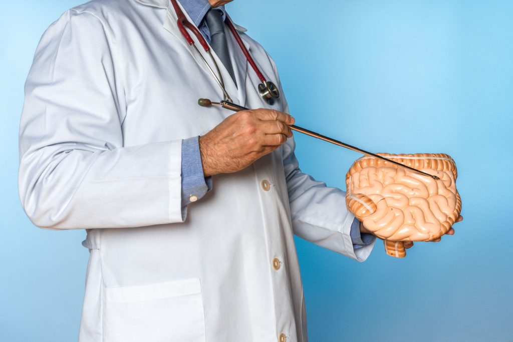 Neurologist pointing at a brain model.