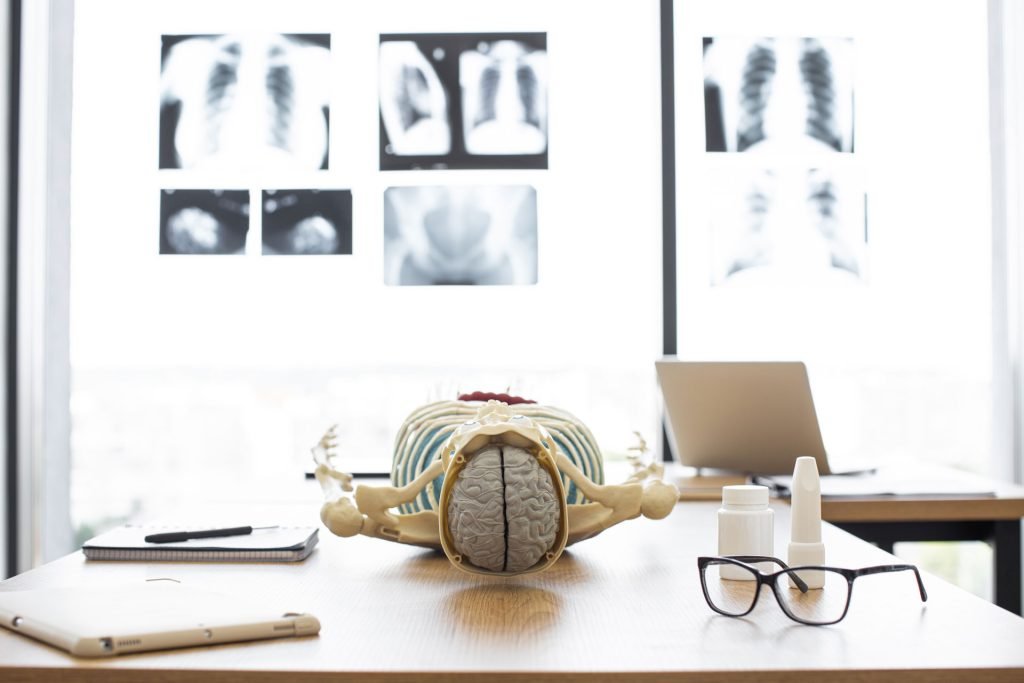 Skeleton model with brain.